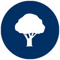 tree icon